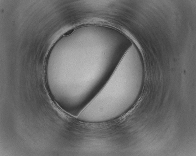 X0000088671437200705310948