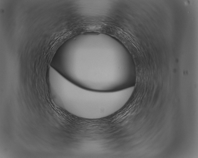 X0000088671441200705310947