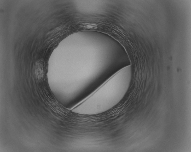 X0000088671442200705310947