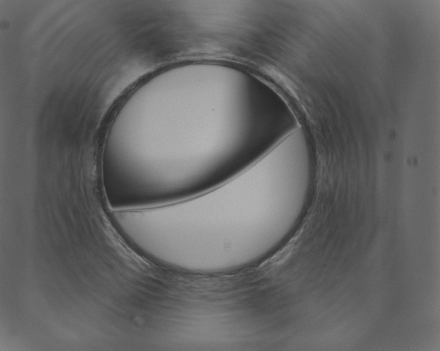 X0000088671458200705310947