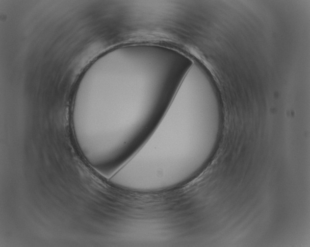 X0000088671459200705310947