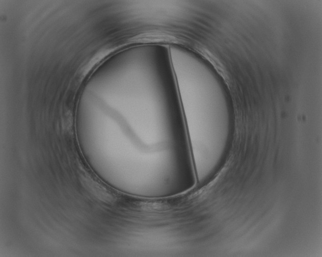 X0000088671465200705310946