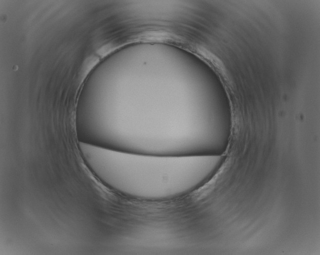 X0000088671473200705310946