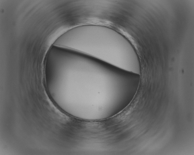 X0000088671479200705310946