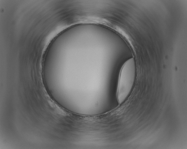 X0000088671480200705310946
