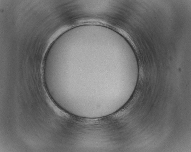 X0000088671482200705310946