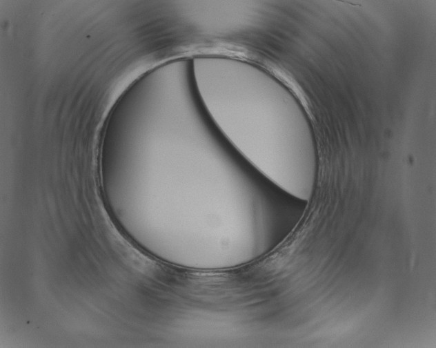 X0000088671483200705310946