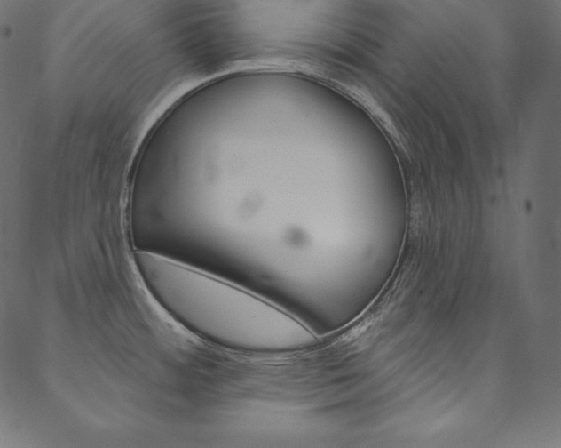 X0000088671484200705310946