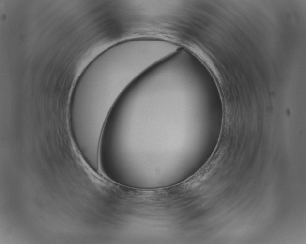 X0000088671485200705310946