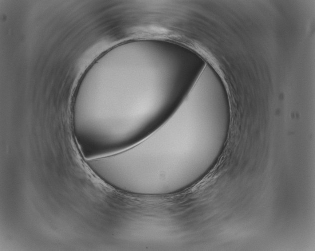 X0000088671488200705310946