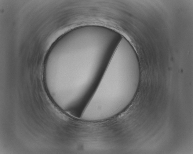 X0000088671523200705310946