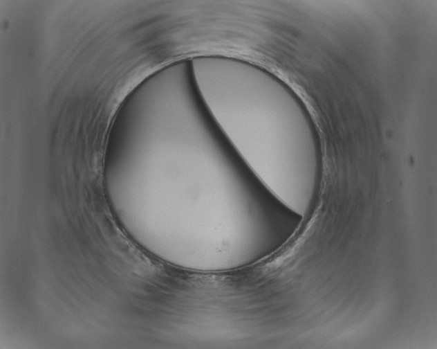 X0000088671529200705310946