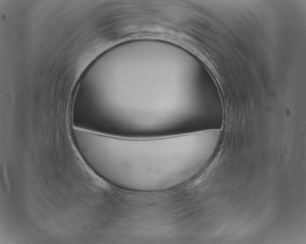 X0000088671533200705310946