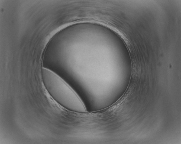 X0000088671534200705310946