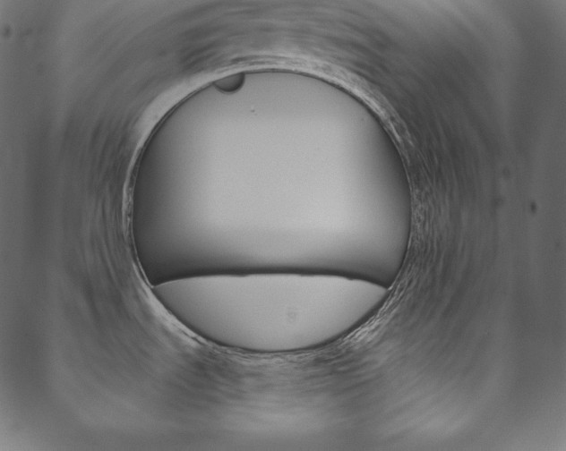 X0000088671535200705310946