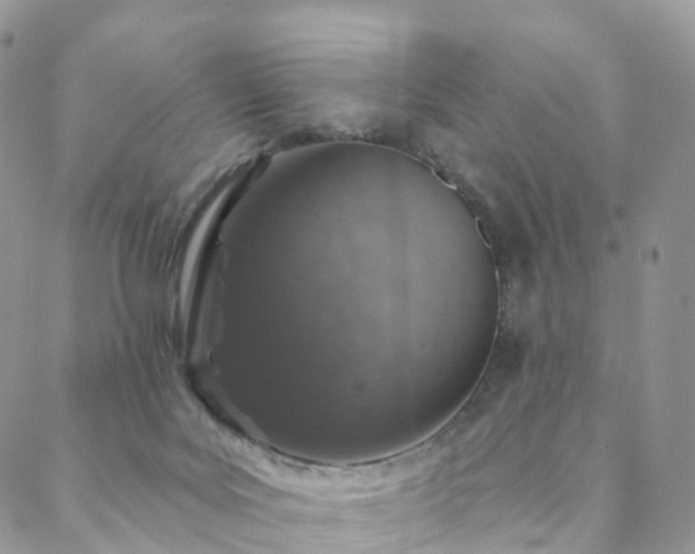 X0000088670027200705311154