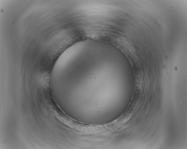 X0000088670036200705311154