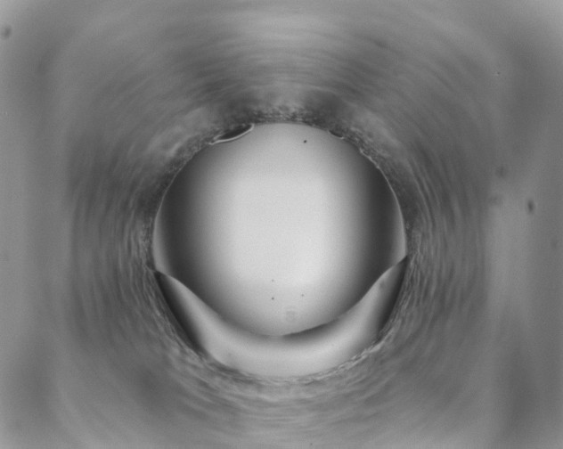 X0000088670037200705311154