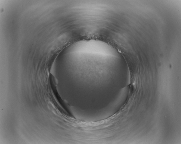 X0000088670039200705311154