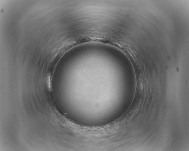 X0000088670042200705311154