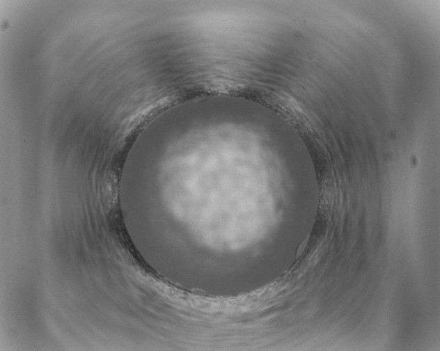 X0000088670043200705311154