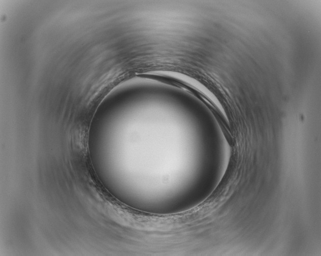 X0000088670044200705311154