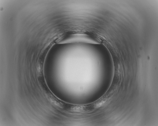 X0000088670084200705311153