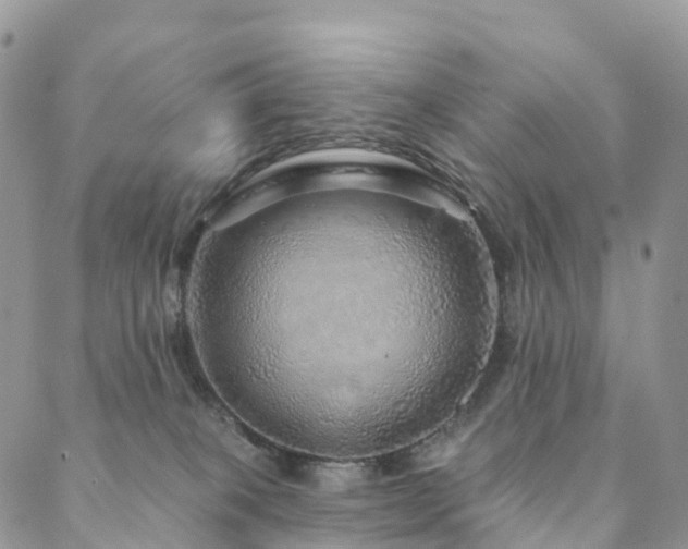 X0000088670085200705311153