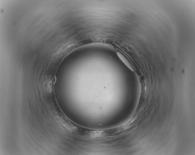 X0000088670090200705311153