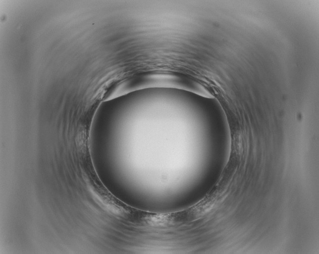 X0000088670092200705311154