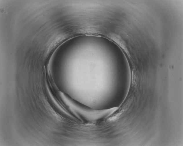 X0000088670109200705311153