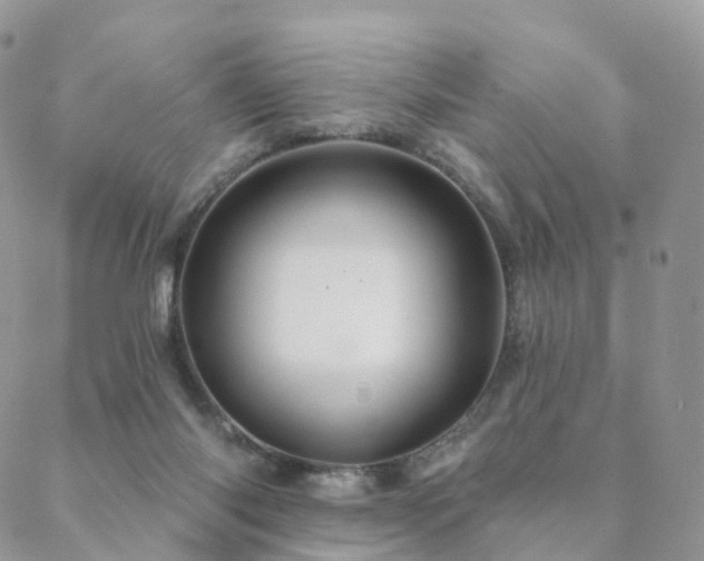 X0000088670118200705311152