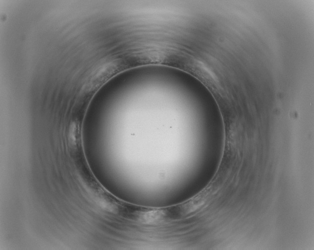 X0000088670122200705311152