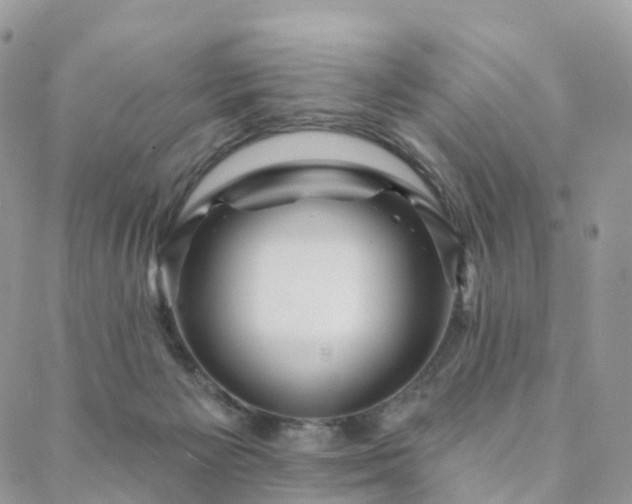 X0000088670125200705311152