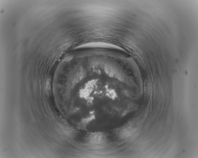 X0000088670127200705311152