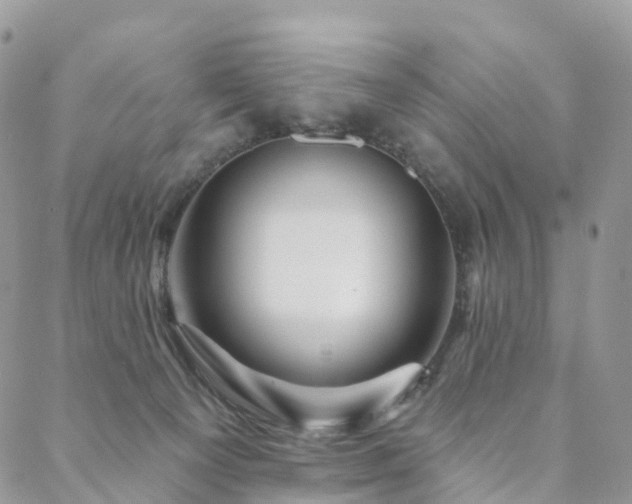X0000088670129200705311152