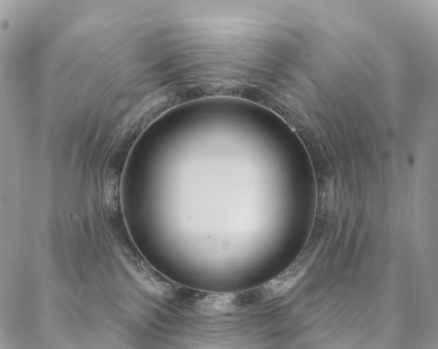X0000088670138200705311152