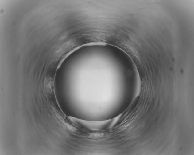 X0000088670141200705311152