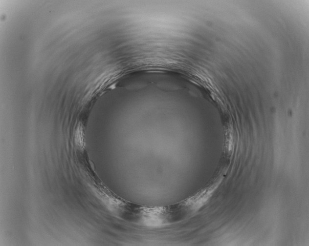 X0000088670143200705311152