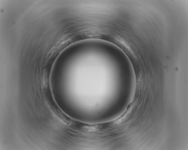 X0000088670170200705311152