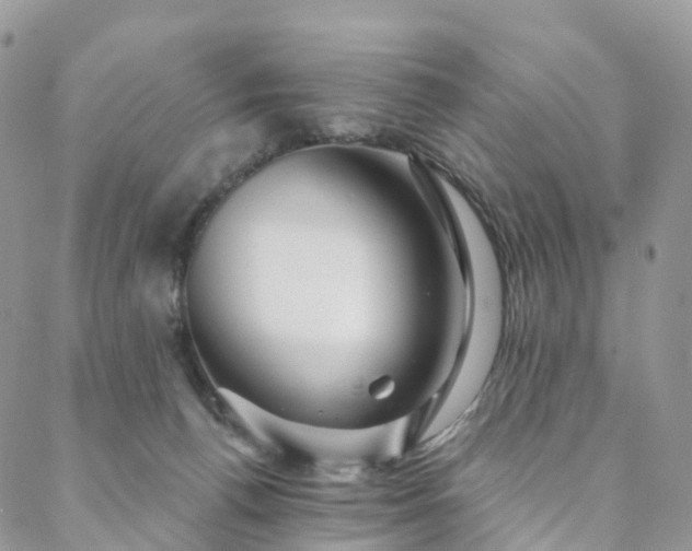 X0000088670176200705311152
