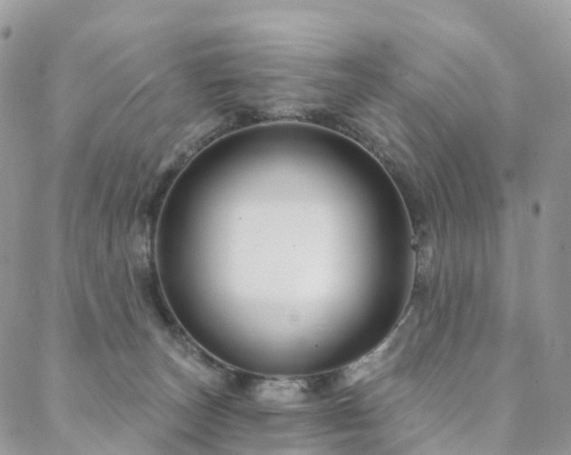 X0000088670179200705311152