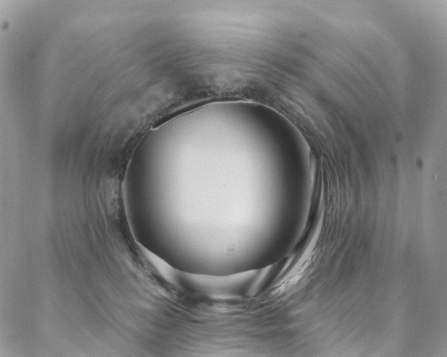 X0000088670184200705311152