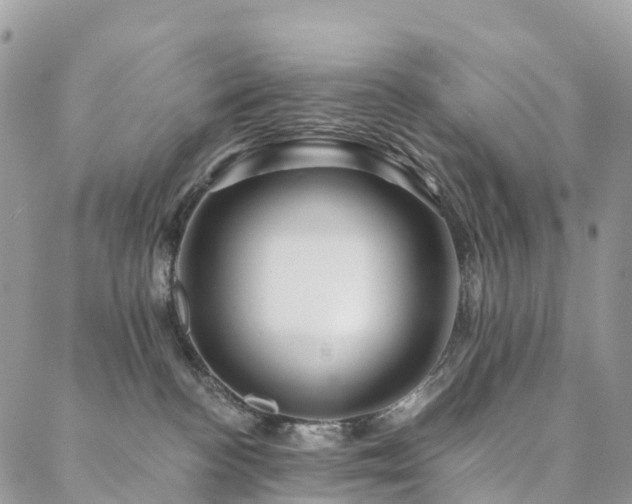 X0000088670188200705311152