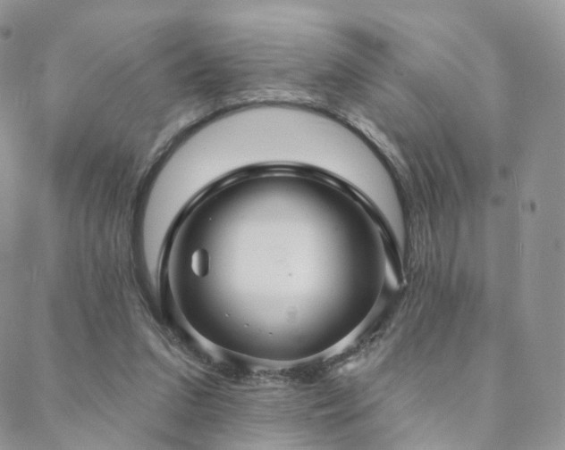 X0000088670207200705311151