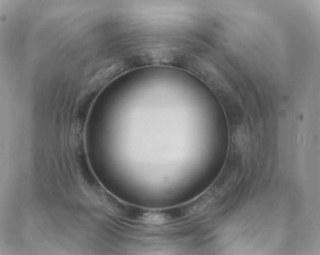 X0000088670218200705311151