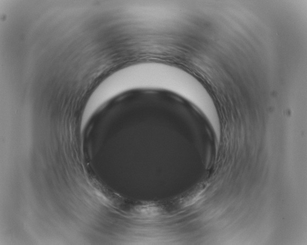 X0000088670219200705311151