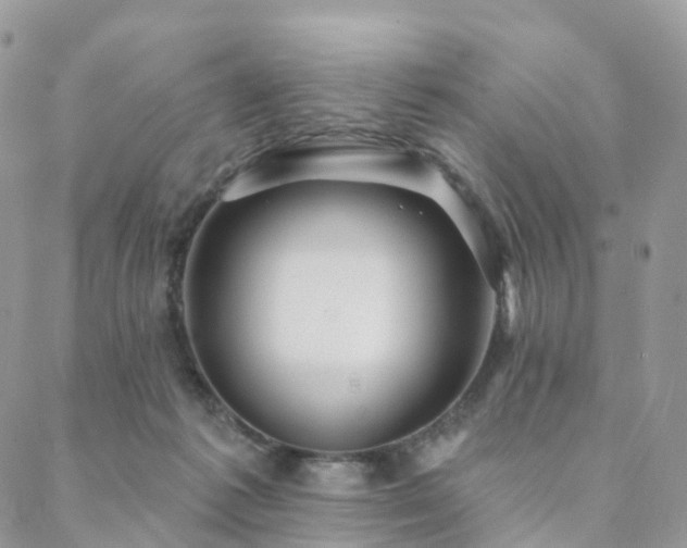 X0000088670221200705311151