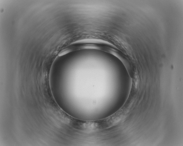 X0000088670225200705311151