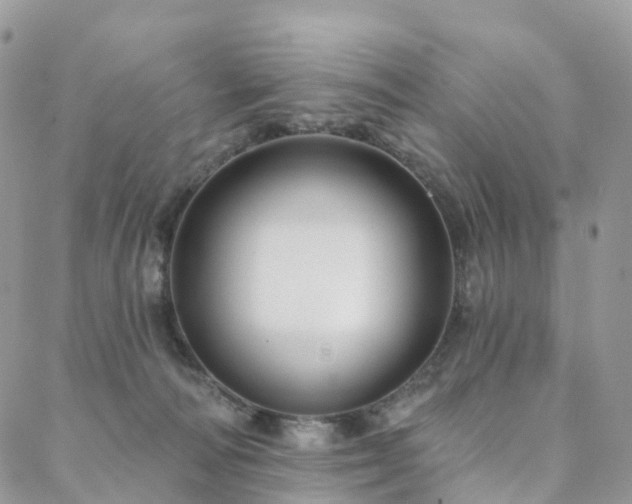 X0000088670226200705311151